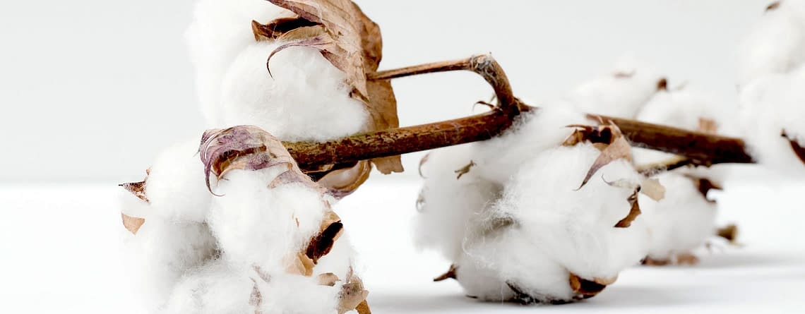 planta de algodón telas Bogotá